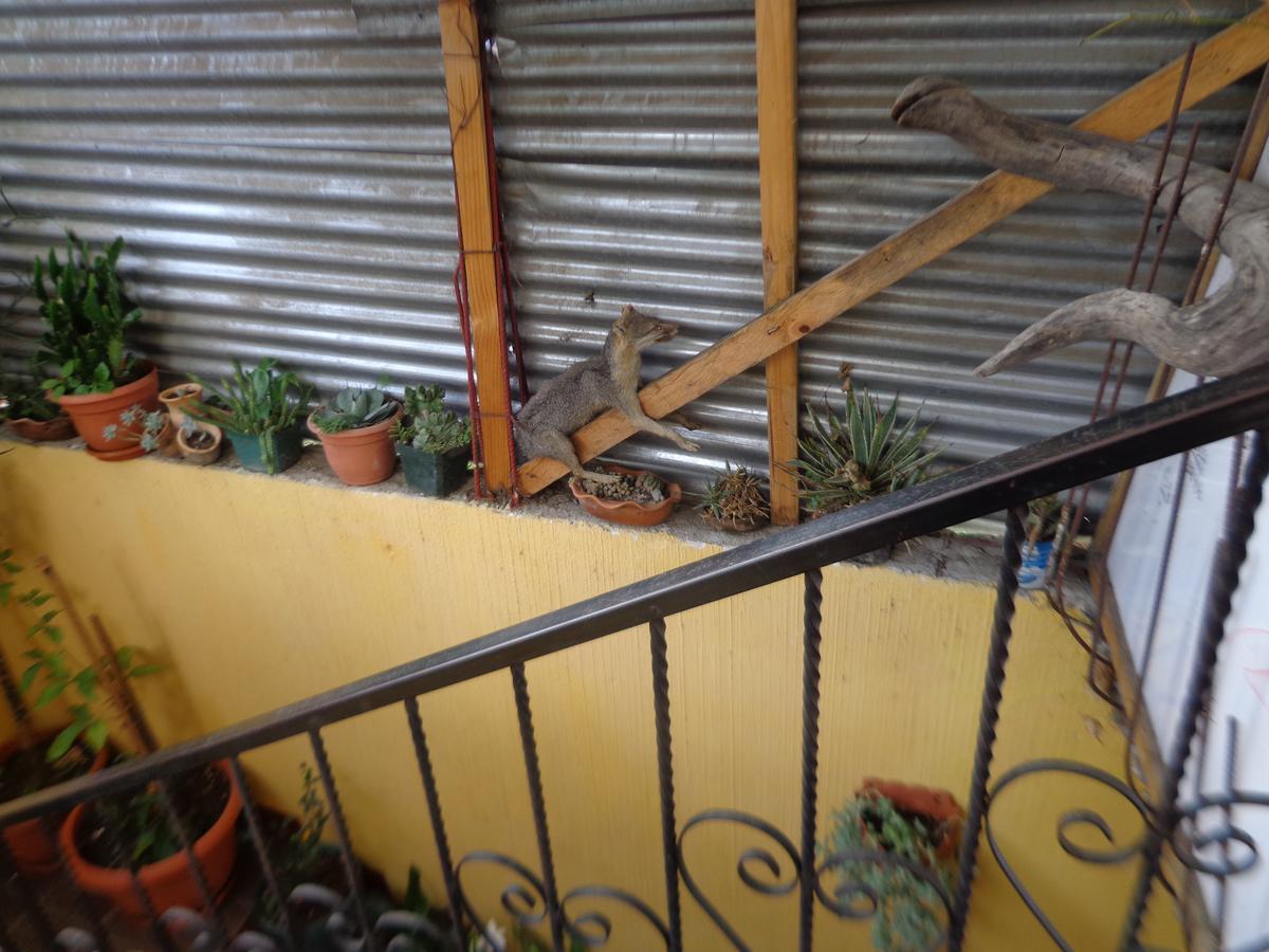 Hotel Encuentro Del Viajero Panajachel Luaran gambar